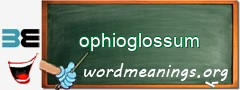 WordMeaning blackboard for ophioglossum